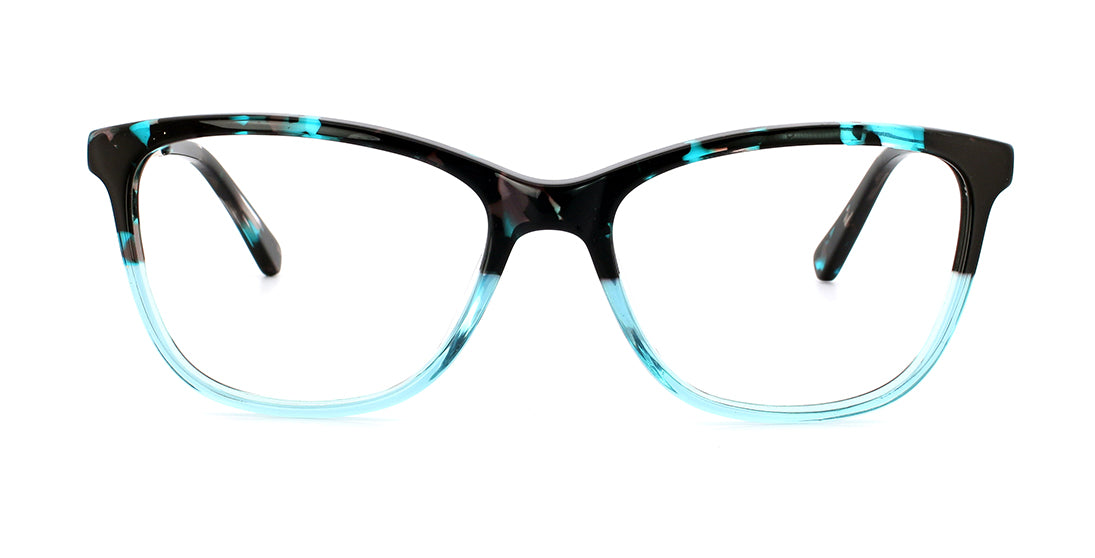 Two Tone Translucent Tortoise Frames A17620