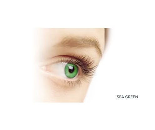 FreshLook Dimensions 6pk