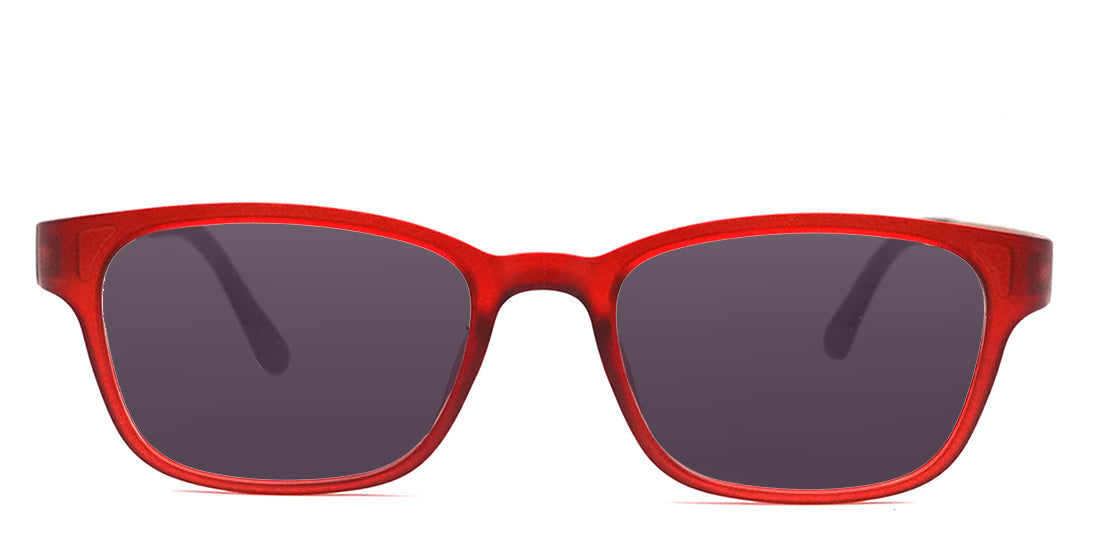 Sunglasses-NF633